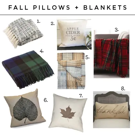 Fall pillows and throw blankets