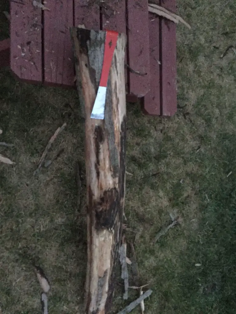 Hand scraped log carving