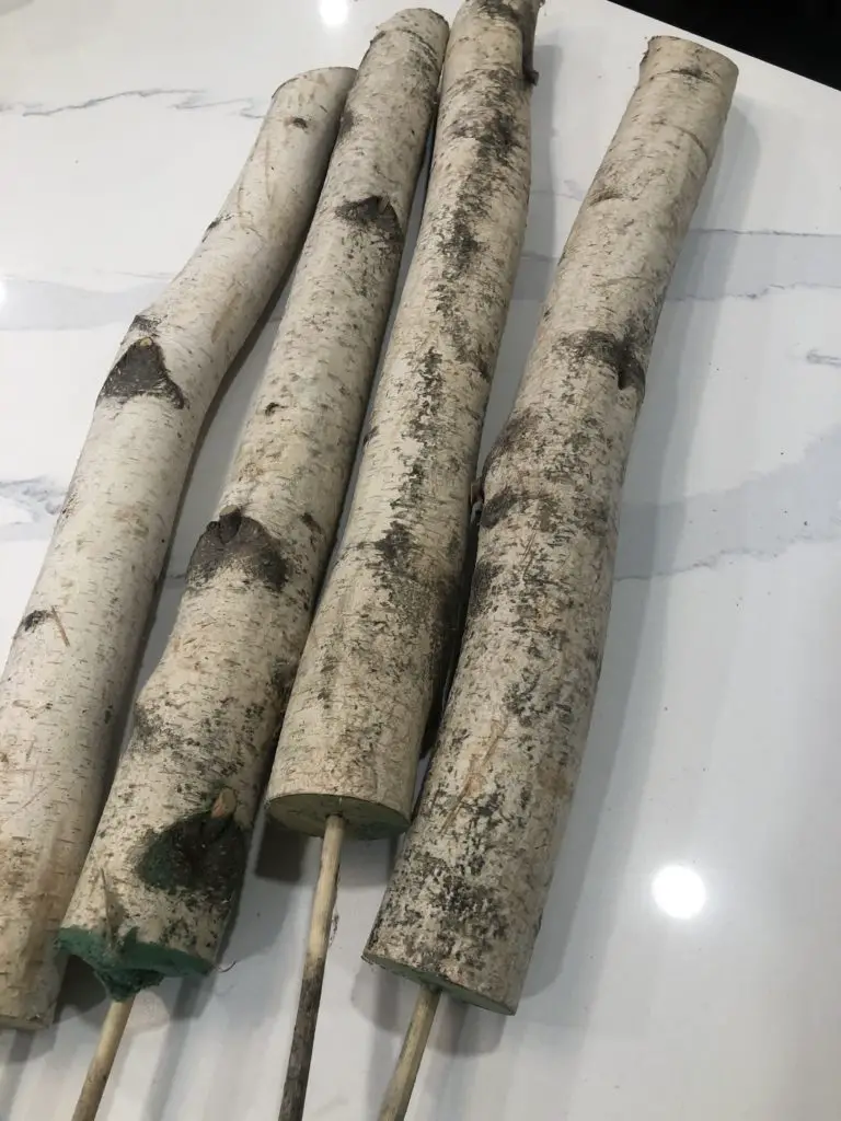 Birch Logs