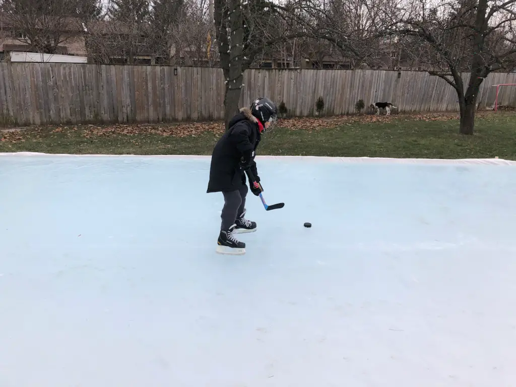 playing backyard ice hockey