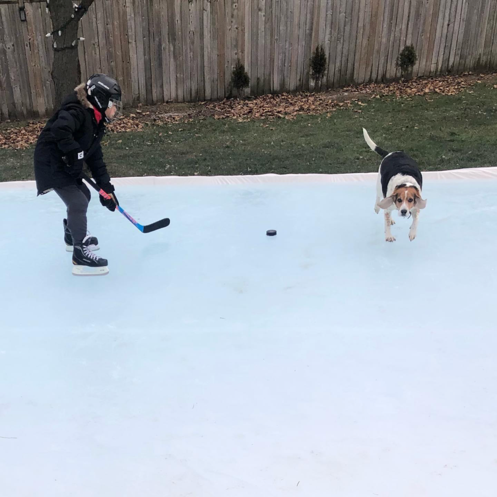 Backyard Hockey Rink