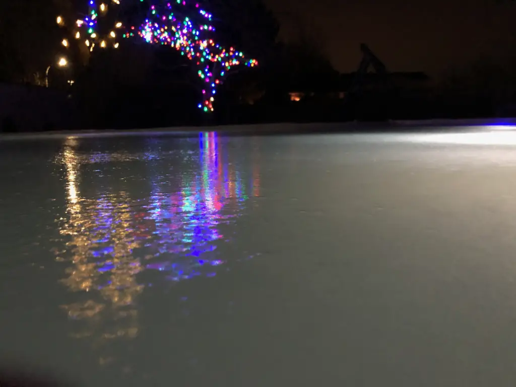 backyard hockey rink lighting