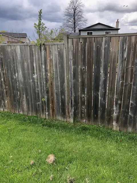 Pressure Washing Wooden Fence restoring a wooden fence to be power washed and restored