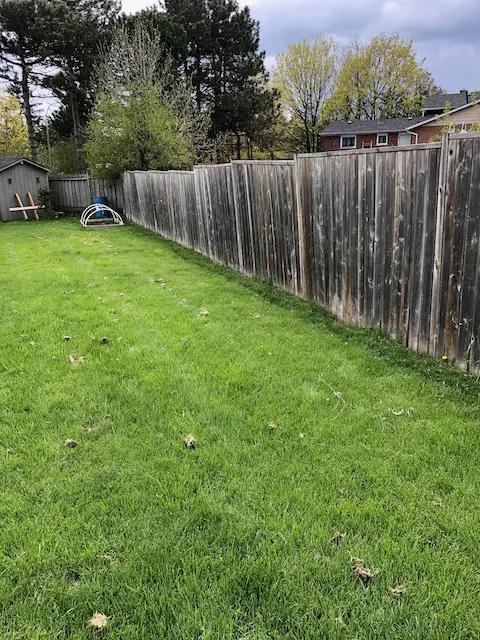 old wooden fence