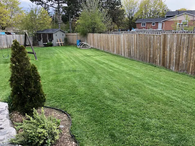 Pressure Washed and Restored Wooden Privacy Fence