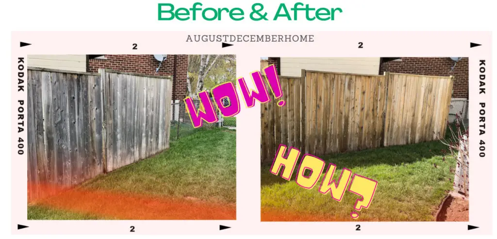 Cleaning wooden fence before and after