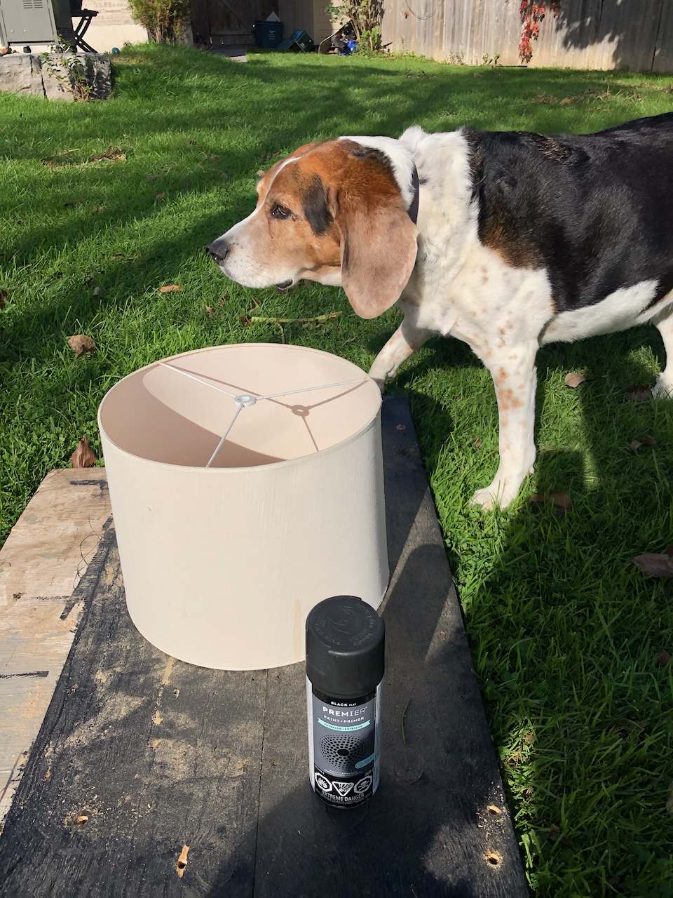 Can you Spray Paint Fabric Lamp Shades? You sure can, and the results are amazing!